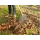 Cat Grabie do liści k-series steel 26" - 1604208 - zdjęcie 2